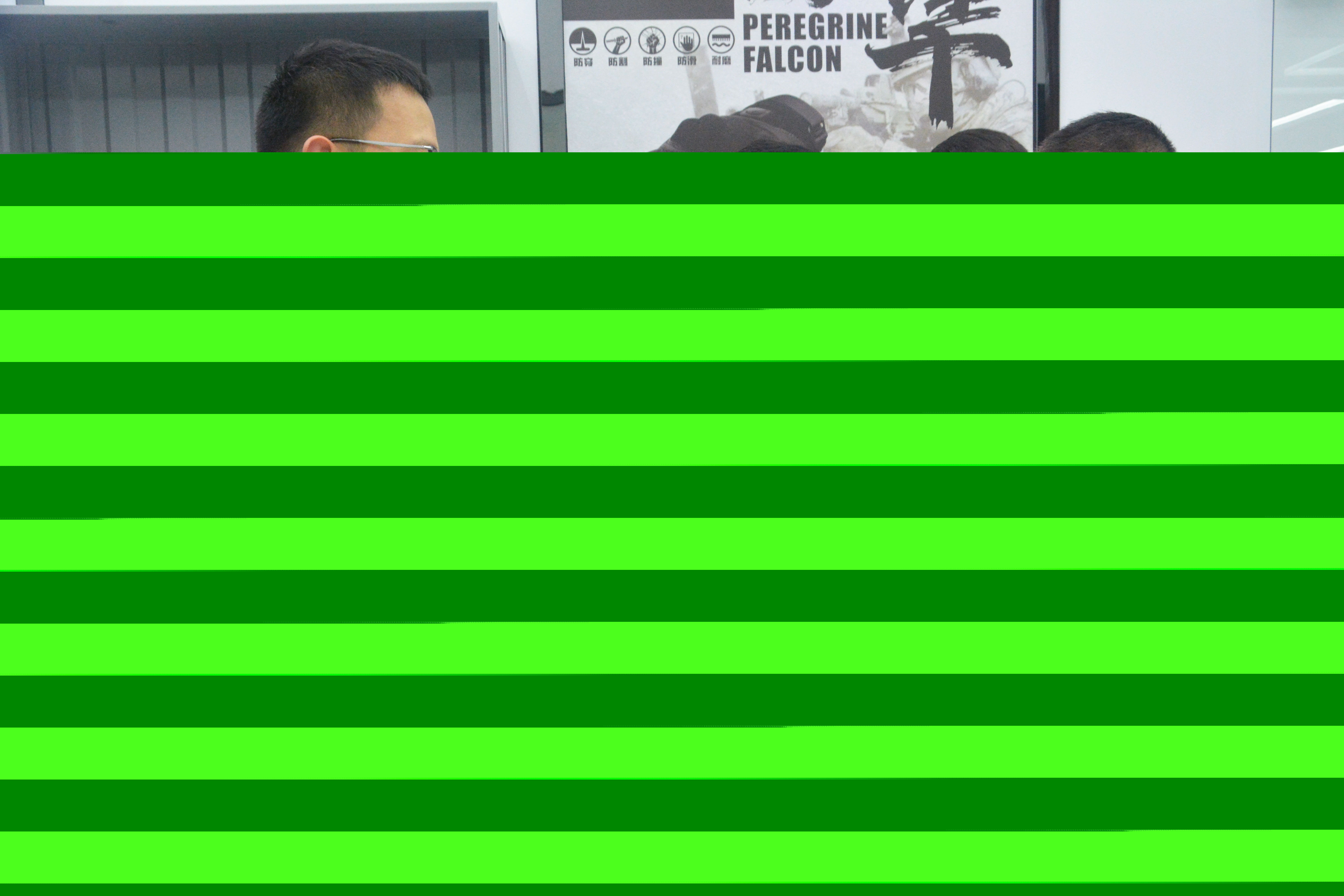 1742441175687320.jpg